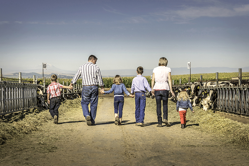 Dairy family walking together