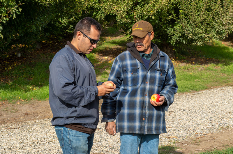 Ortiz family talking apples